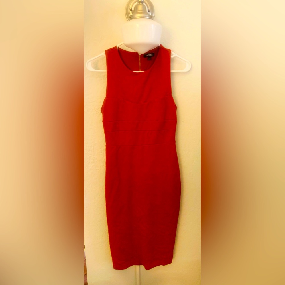Express Knee Length Burnt Orange Dress